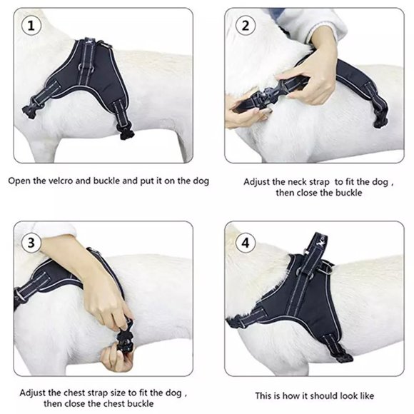 2 Pack Dog Harness Adjustable No-Pull Reflective Pet Vest - Picture 10 of 13